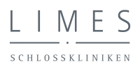 LIMES Logo Grau RICHTIG