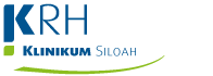 SOH Logo