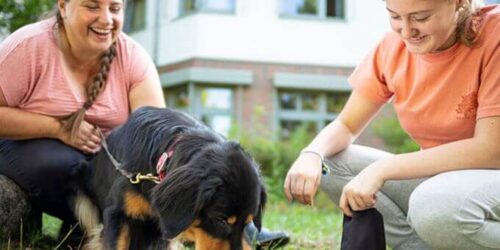 Bild3