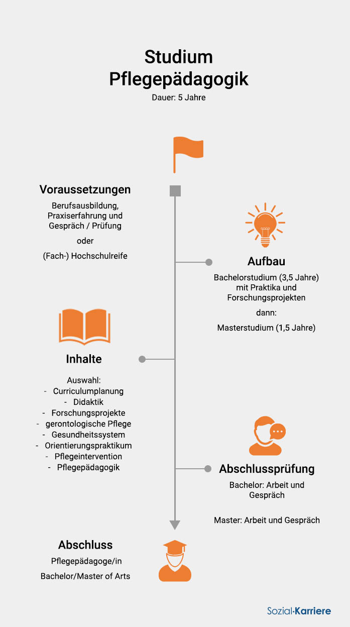 Pflegepädagoge Ausbildungsgrafik